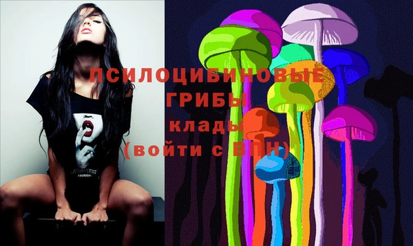 винт Алексеевка