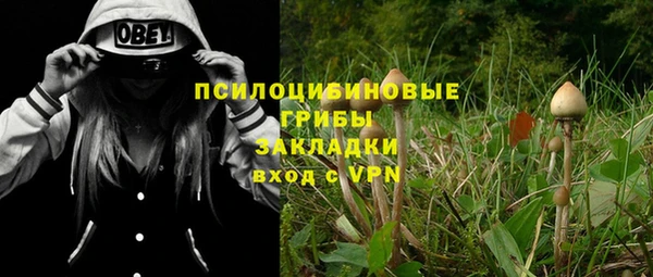 герыч Алексин