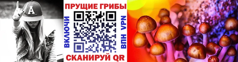 закладка  Апшеронск  Галлюциногенные грибы GOLDEN TEACHER 